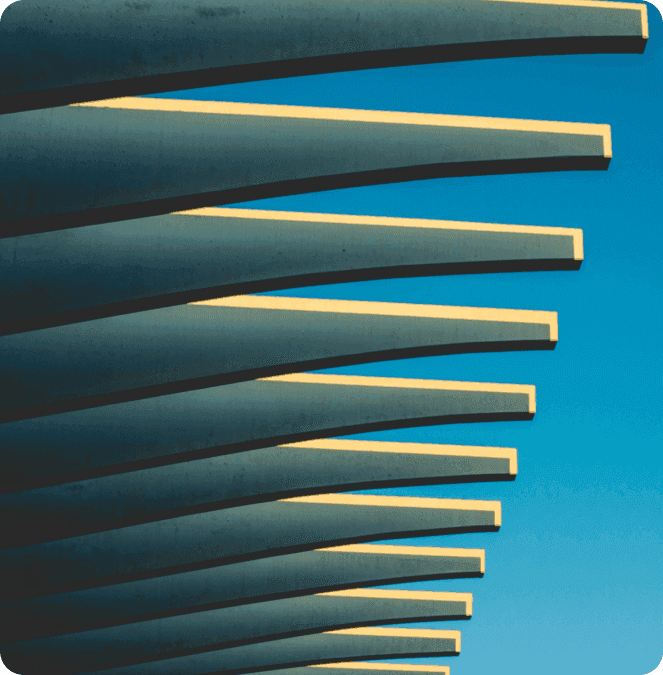 From Idea to Market Leader: A Startup's Journey to Success